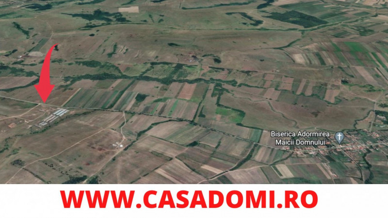 Ferma si teren agricol de vanzare ~84Ha | Timis - Paniova