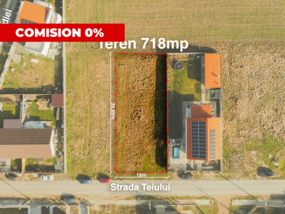 Drum asfaltat - Utilitati - str. Teiului - Sacalaz